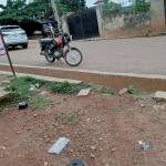 Johnson Temidayo Profile Picture