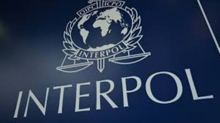 Thousands of American Dollars being flown out of Nigeria every hour – INTERPOL reveals shocking details - Crime Channels