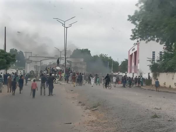 Just in: Police nab armed protester in Abuja | TheNewsGuru