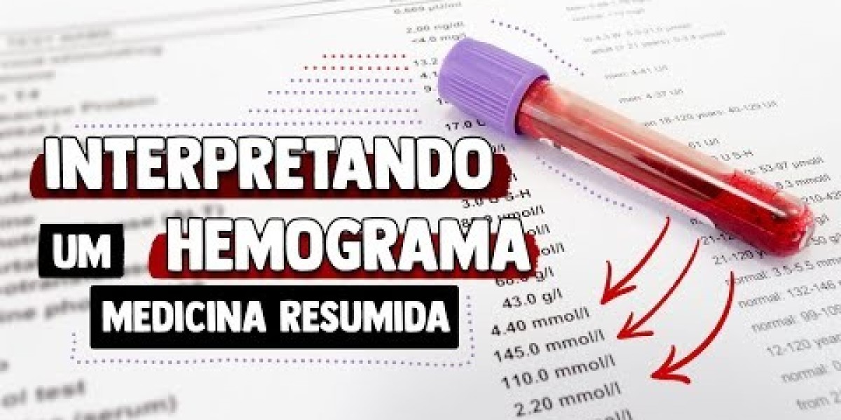 Cuide do coração do seu melhor amigo: Ecocardiograma Veterinário no Conforto do Seu Lar