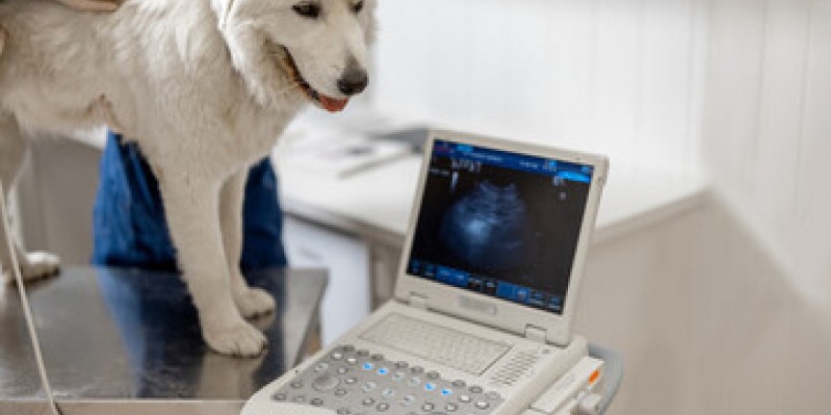 Diagnostic Approach to Hepatobiliary Diseases in Dogs and Cats R U WSAVA2010