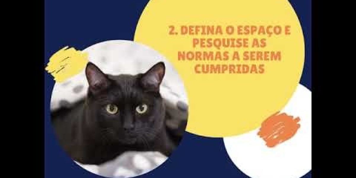 Problemas RENALES en Perros Enfermedades, Causas y Síntomas