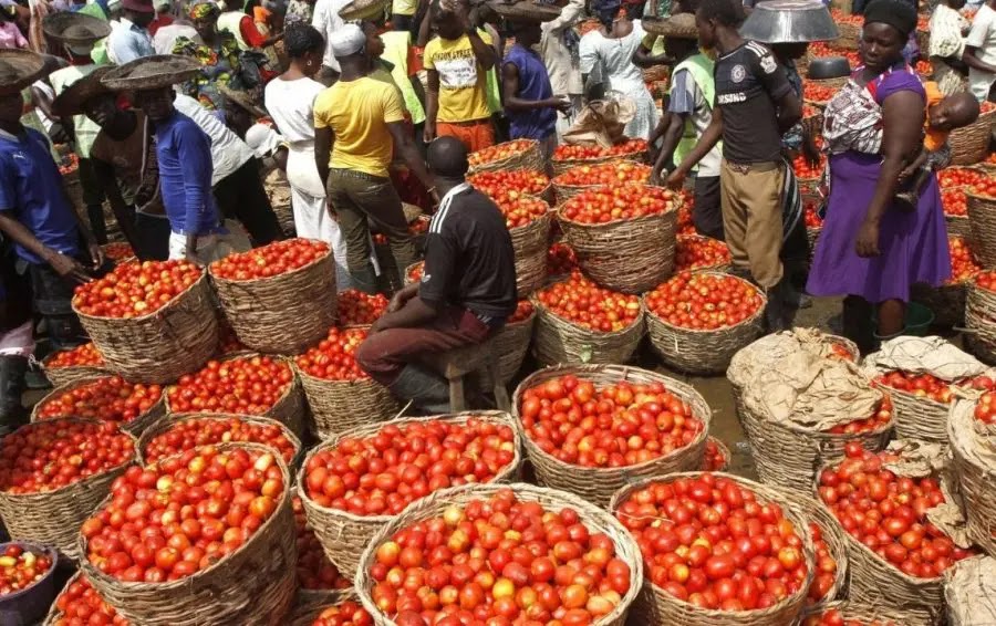 BREAKING; Prices of pepper other perishable items crashes - Crime Channels