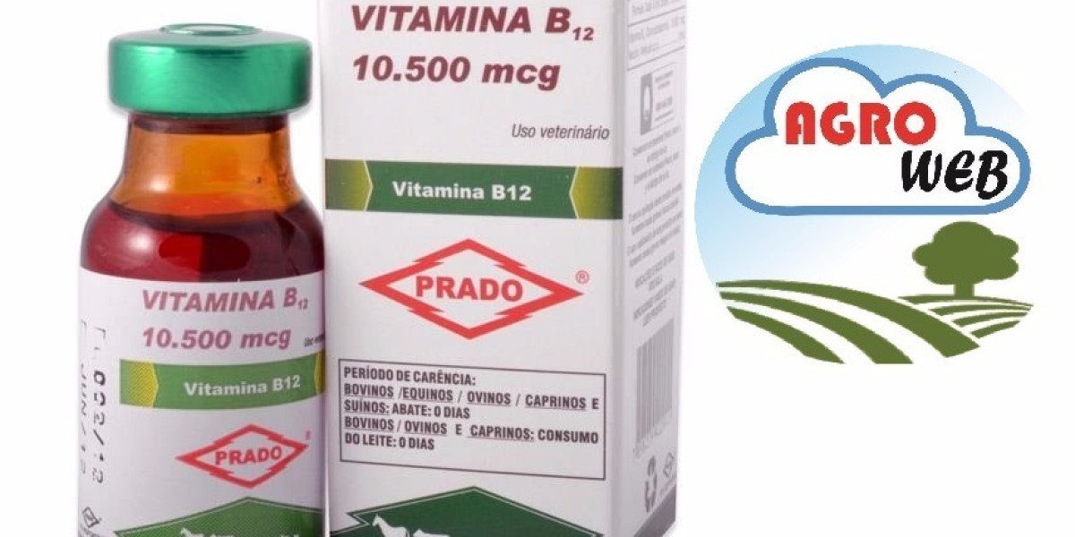 Vitamina B12: para qué sirve, alimentos y cuándo tomar su suplemento