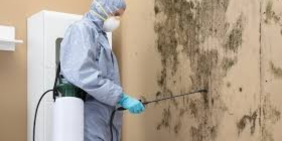 Mold Inspections in Miami, FL | Thorough & Expert Assessments