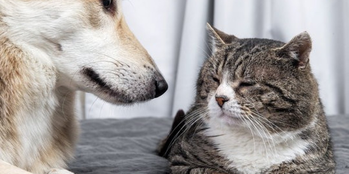 The Ultimate Guide to Pet Pain Management: Keeping Your Furry Friends Happy & Healthy