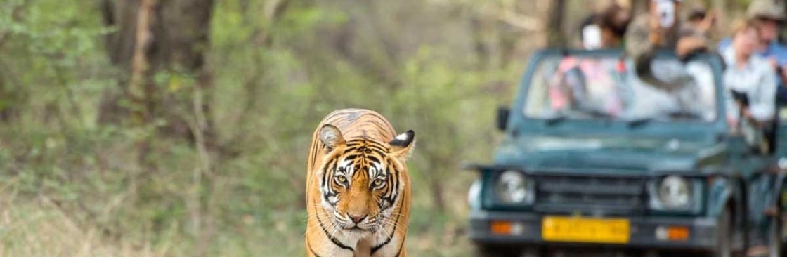 BigCat Jungle Safari Cover Image