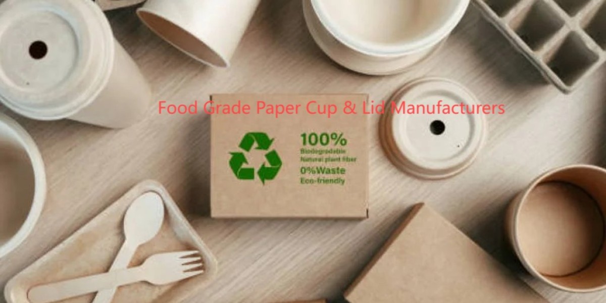 Eco-Friendly Solutions: The Impact of Food Grade Paper Cup & Lid Manufacturers