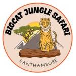 BigCat Jungle Safari Profile Picture