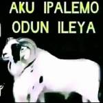 Femi Ibigbemi Profile Picture