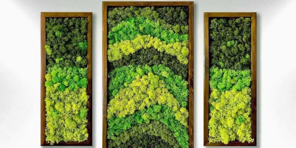 Framed Moss Art