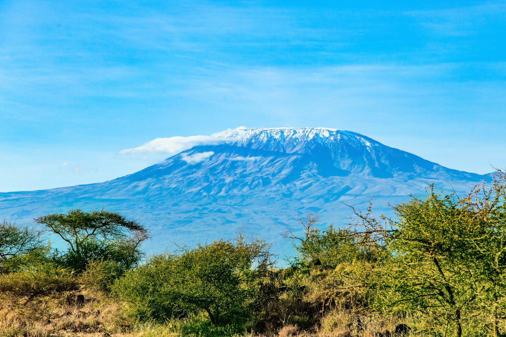 Mount Kilimanjaro Trekking Tours – Affordable Climbing Packages