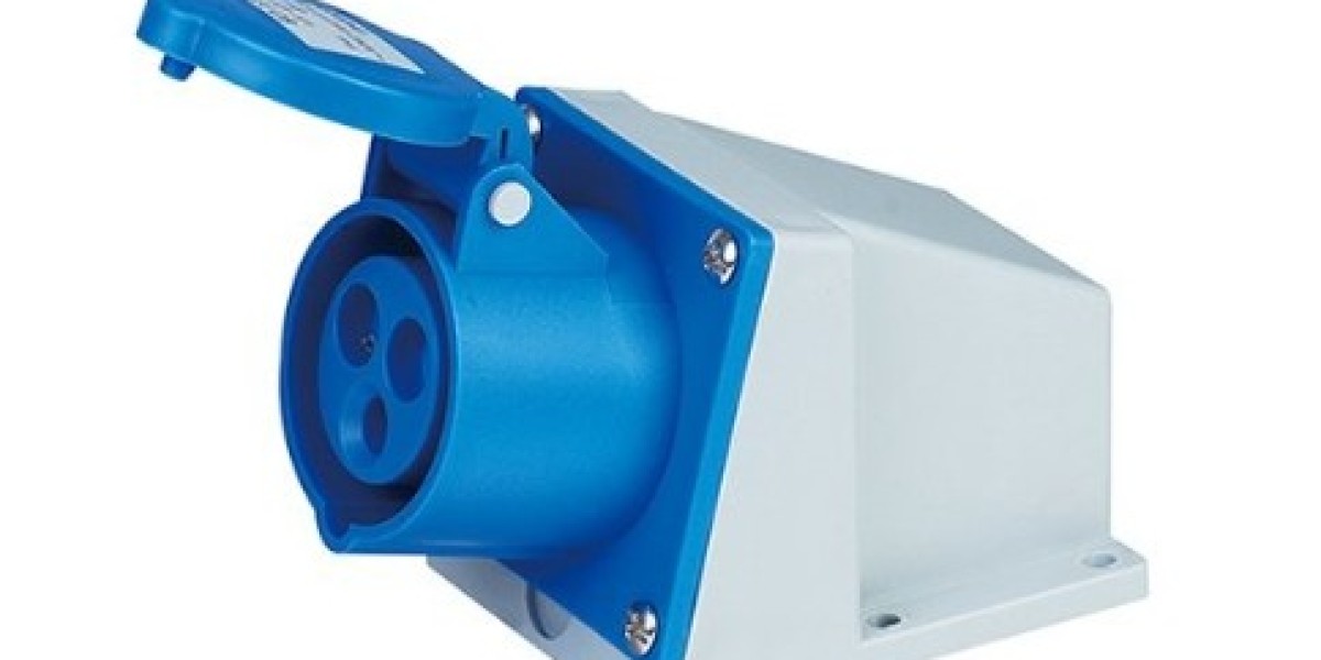 Modular Power Solutions: Industrial Plugs for Flexible Data Centers