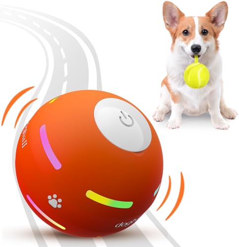 Top 10 Interactive Toys to Keep Your Dog Engaged and Happy - Dog Stairs and Ramps