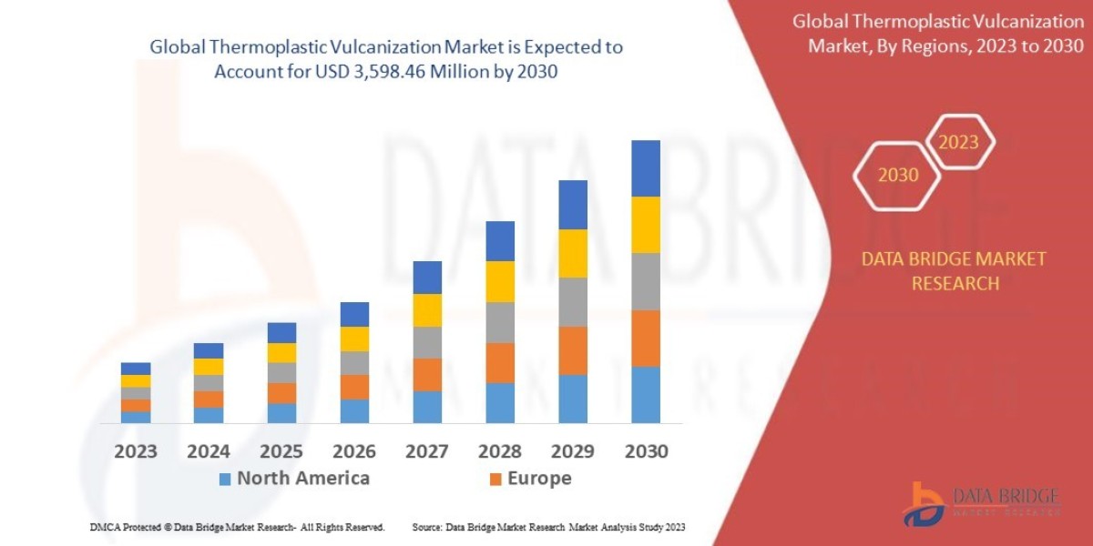 Thermoplastic Vulcanization Market Size, Share, Trends, Growth Opportunities, Key Drivers and Competitive Outlook