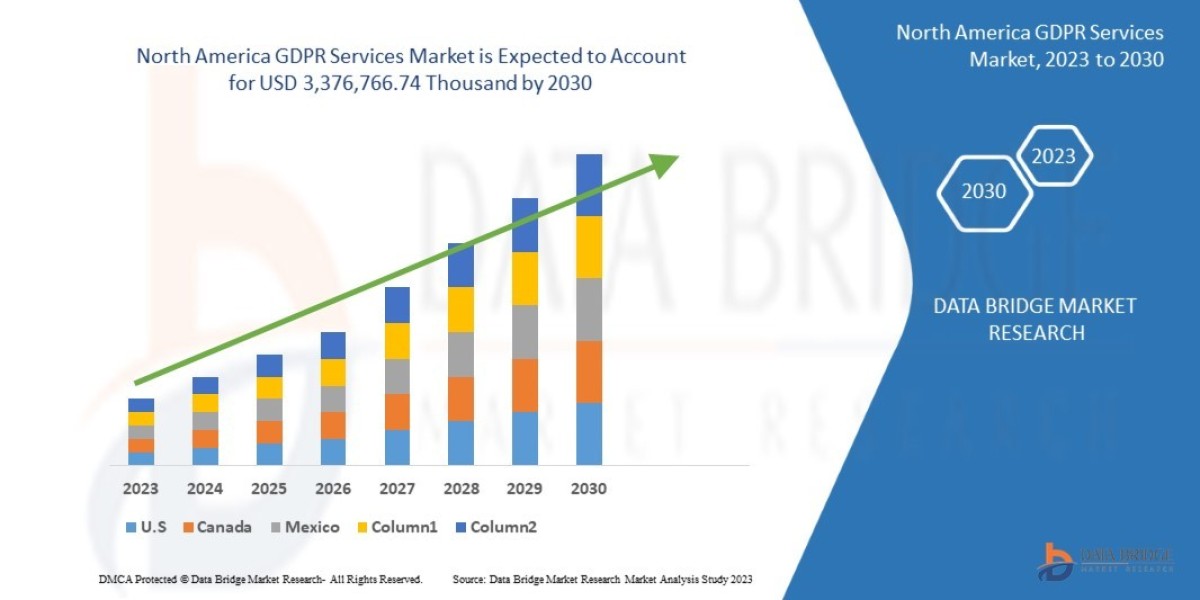North America GDPR Services Market Insights and Growth Trends