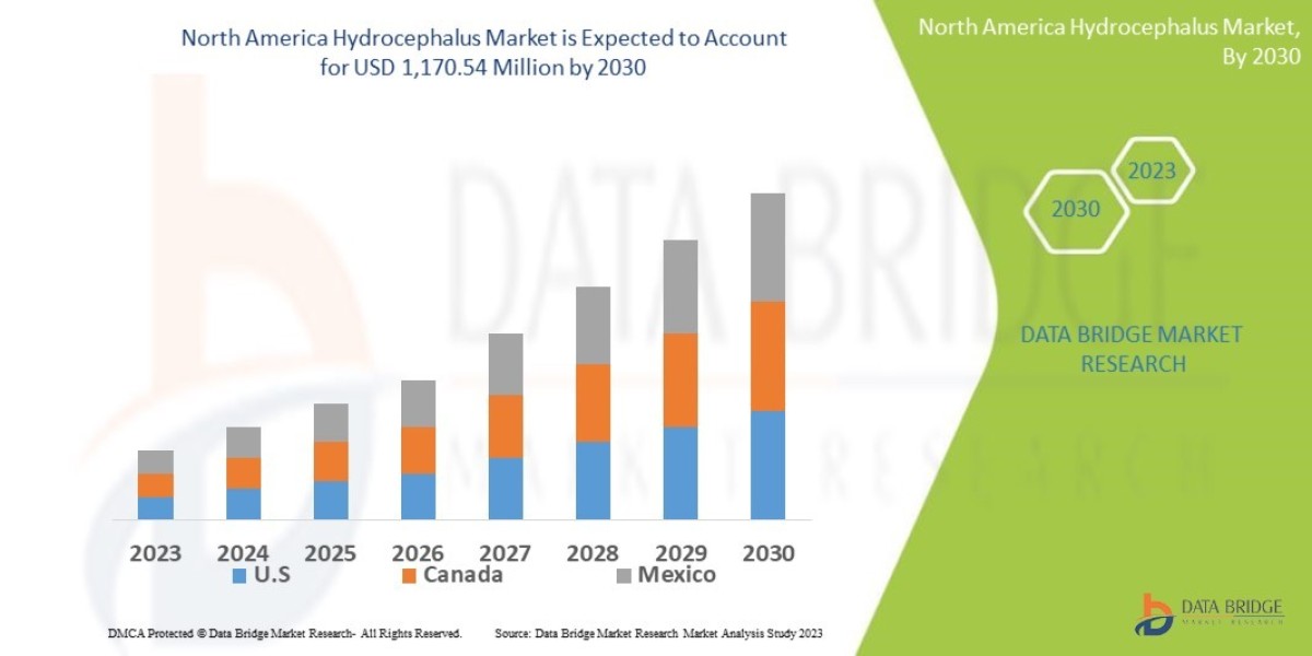 North America Hydrocephalus Market: Size, Share, and Future Growth