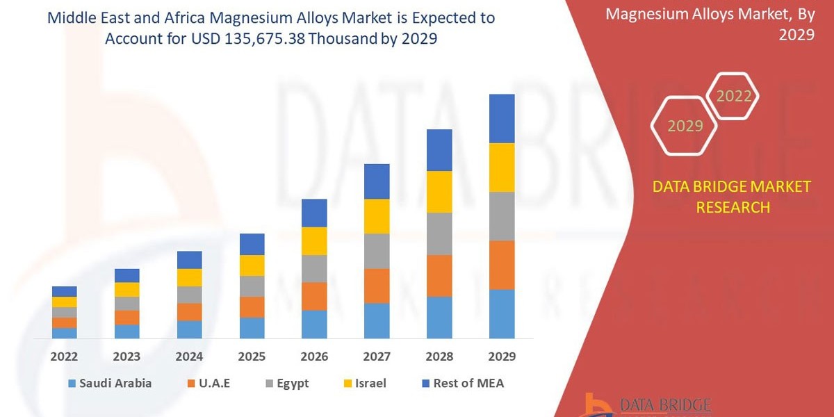 Middle East and Africa Magnesium Alloys Market Size, Growth Opportunities and Competitive Outlook