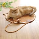 diycatscratcher3 Profile Picture