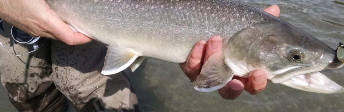 Fly Fish Star Valley Cover Image