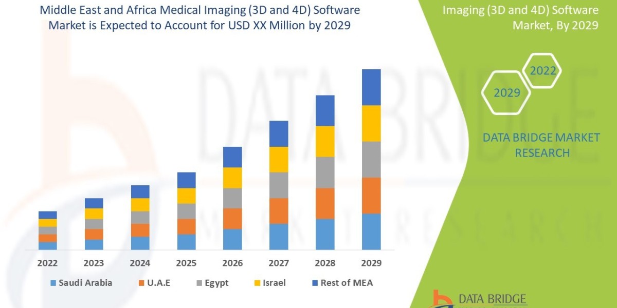 Middle East and Africa Medical Imaging (3D and 4D) Software Market Size, Share, Key Growth Drivers, Trends, Challenges a