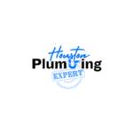 Houston Plumbing Expert profile picture