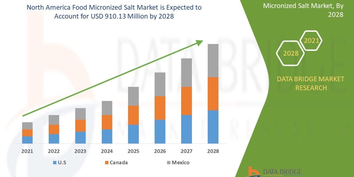 Food Micronized Salt: Benefits & Applications in Processing