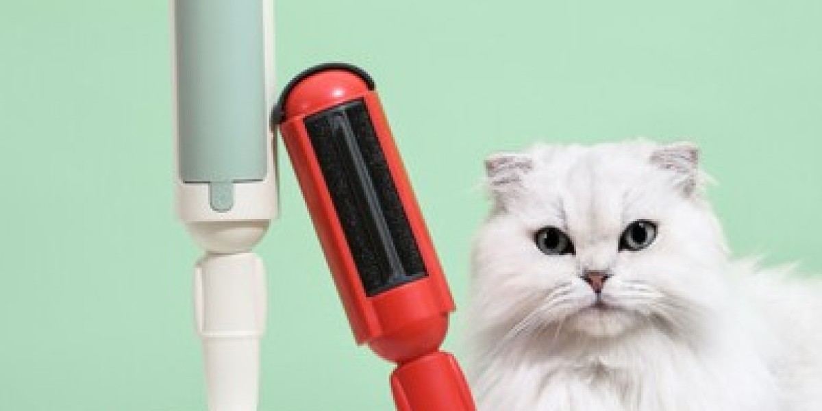 Hair Remover Roller: A Smarter Daily Choice for Pet Owners
