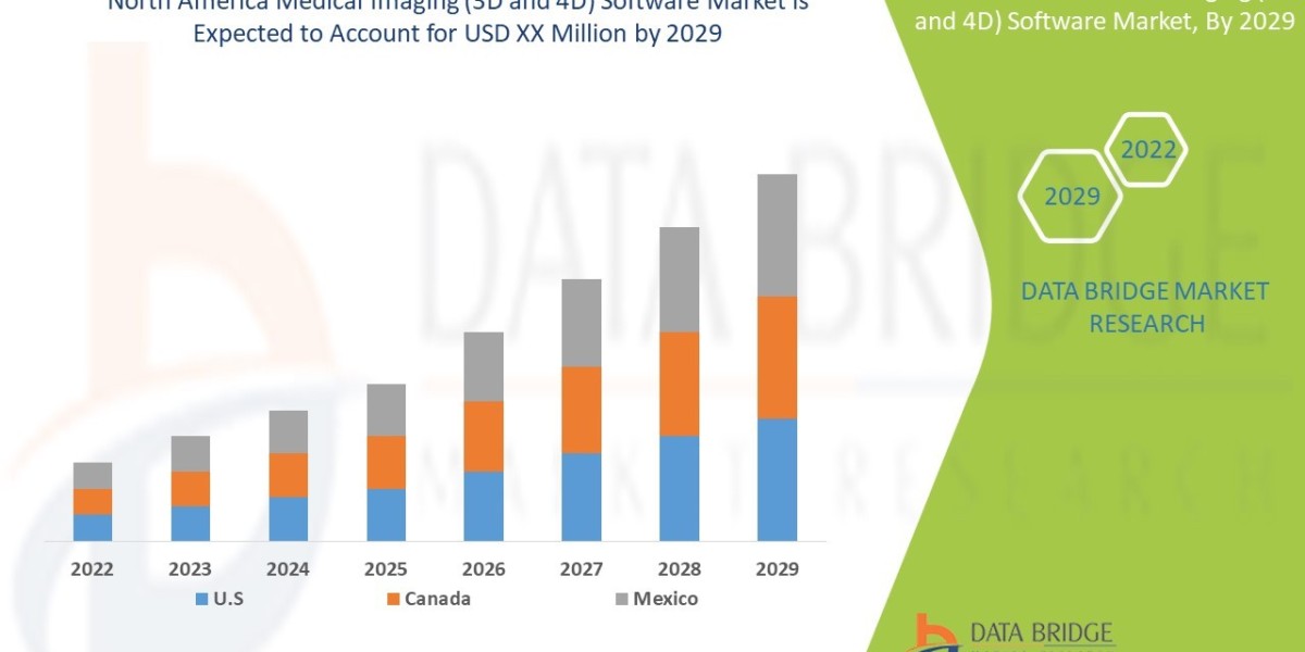 North America Medical Imaging (3D and 4D) Software Market Size, Share, Key Growth Drivers, Trends, Challenges and Compet