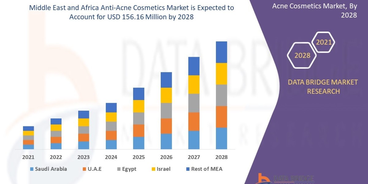 Middle East and Africa Anti-Acne Cosmetics Market Size, Trends and Competitive Outlook