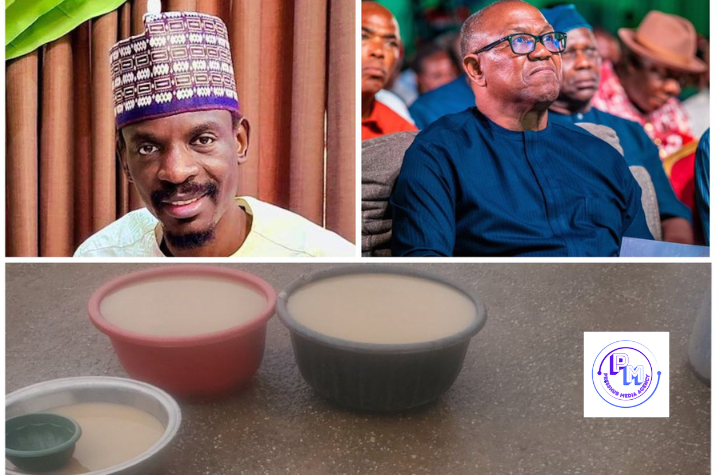 What Could Peter Obi Have Done Differently?” – Bashir Ahmad Questions Obi Supporter Over Dirty Water in Kebbi. - PRESSHUB MEDIA AGENCY