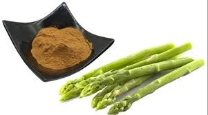etasingredient Profile Picture
