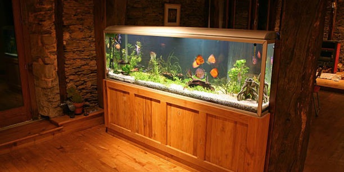 The Aquarium Market: A Deep Dive into 2025 Trends