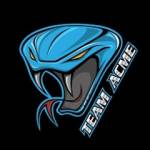 Team Acme Inc Profile Picture