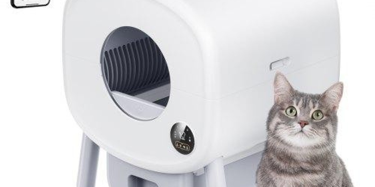 How Pawtechpet's Automatic Cat Litter Box Revolutionizes Pet Care