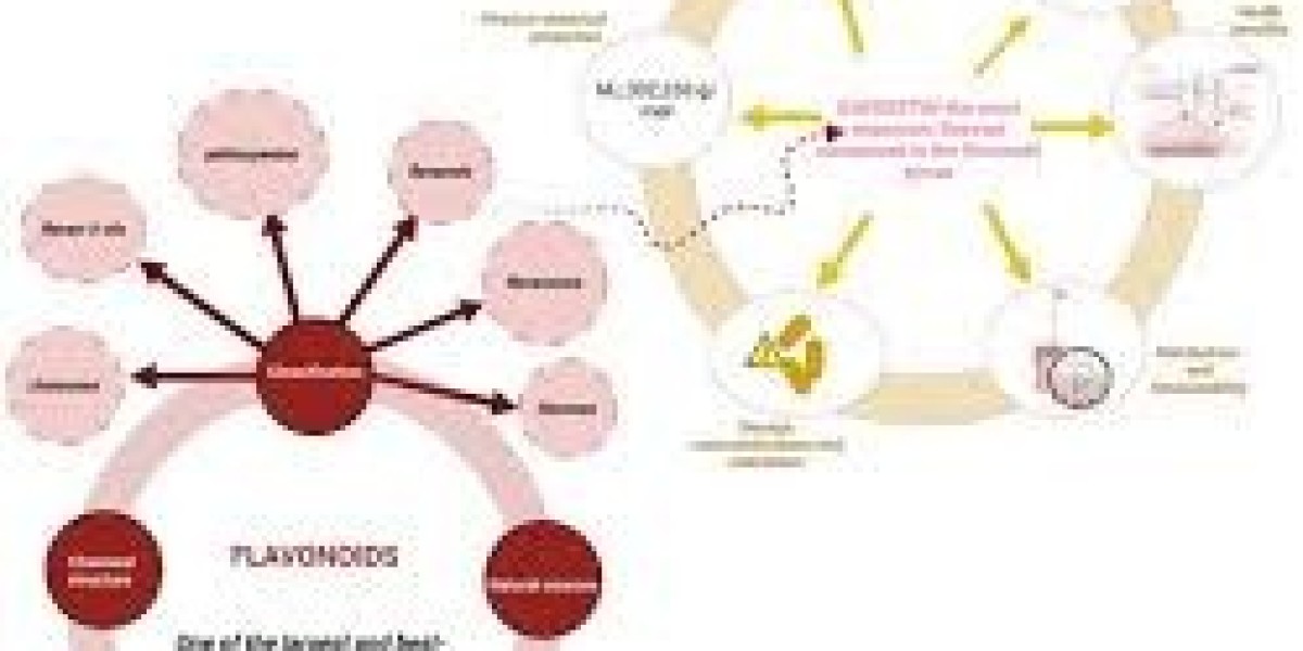 Title: Harnessing the Power of Bioavailable and Water-Soluble Quercetin with Maypro