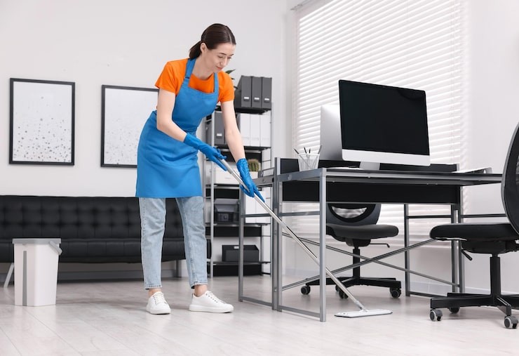 alpinecleaning services Profile Picture