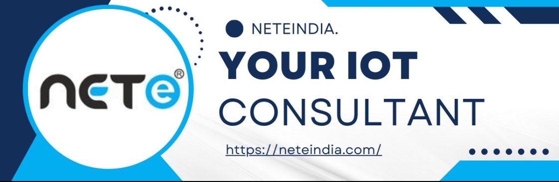 Nete India Cover Image