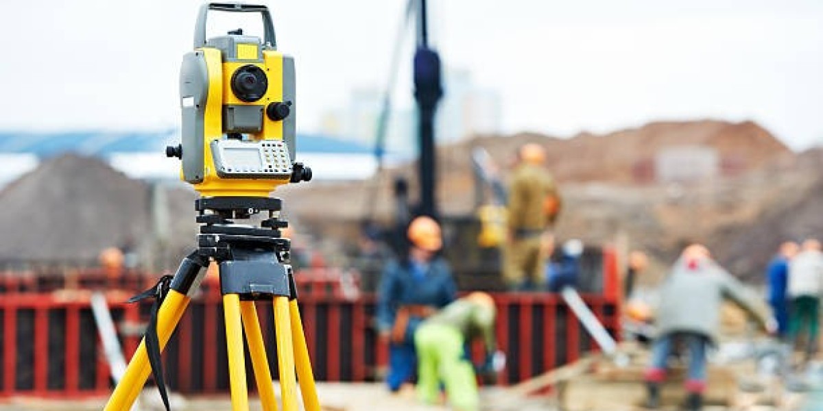 Local Surveyor