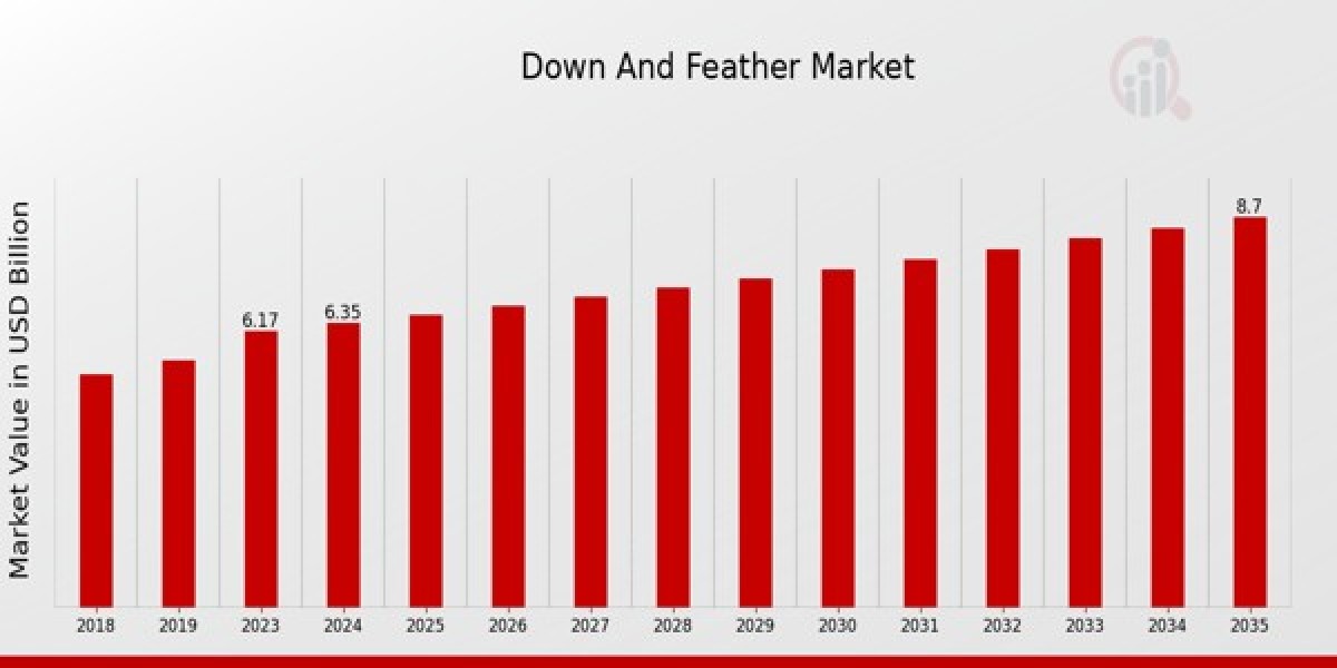 Down Feather Demand Soars Amid Cold Weather and Comfort Trends
