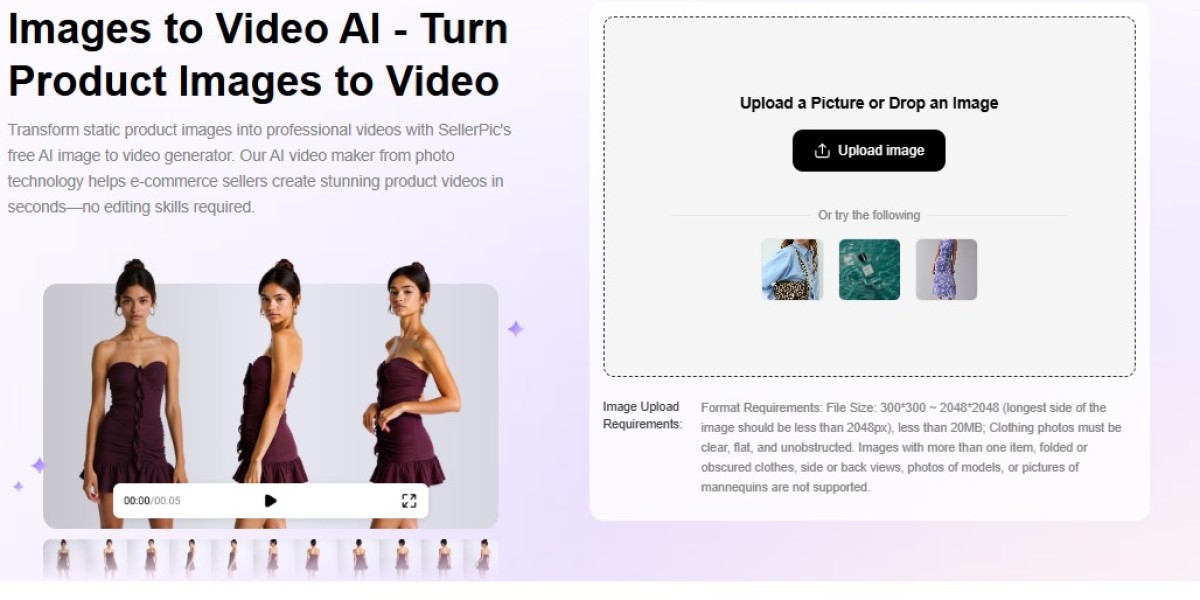 Step-by-Step Guide to Using AI for Turning Your Pictures Into Videos