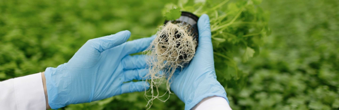 Emirates Bio Fertilizer Factory Cover Image