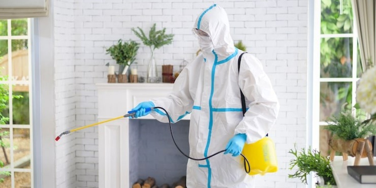 Get rid of pests for good with professional pest control services in Abu Dhabi.