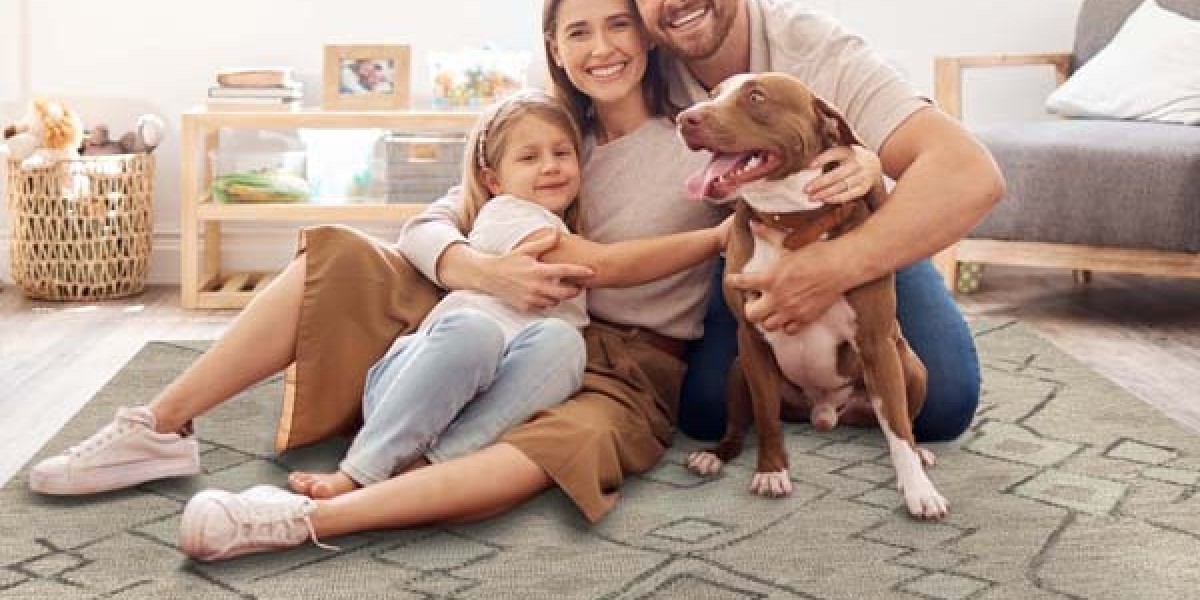 The Complete Guide to Finding the Perfect Cotton Rug