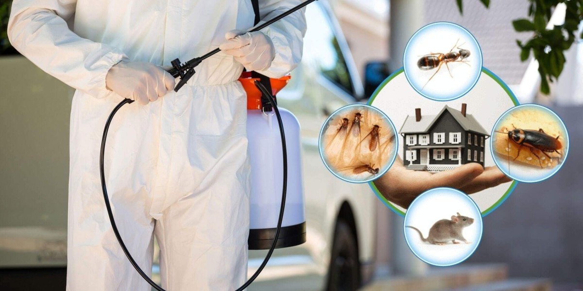 Why Professional Pest Management is Essential for Your Business