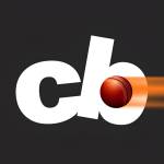 Cric Bites Profile Picture
