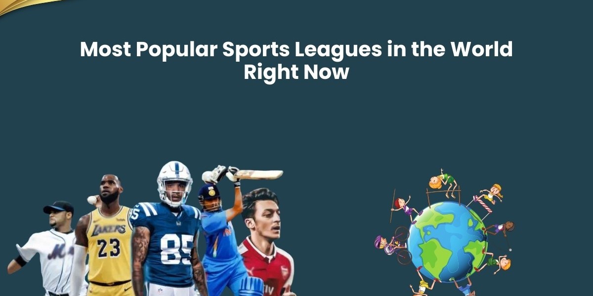 Most Popular Sports Leagues in the World Right Now