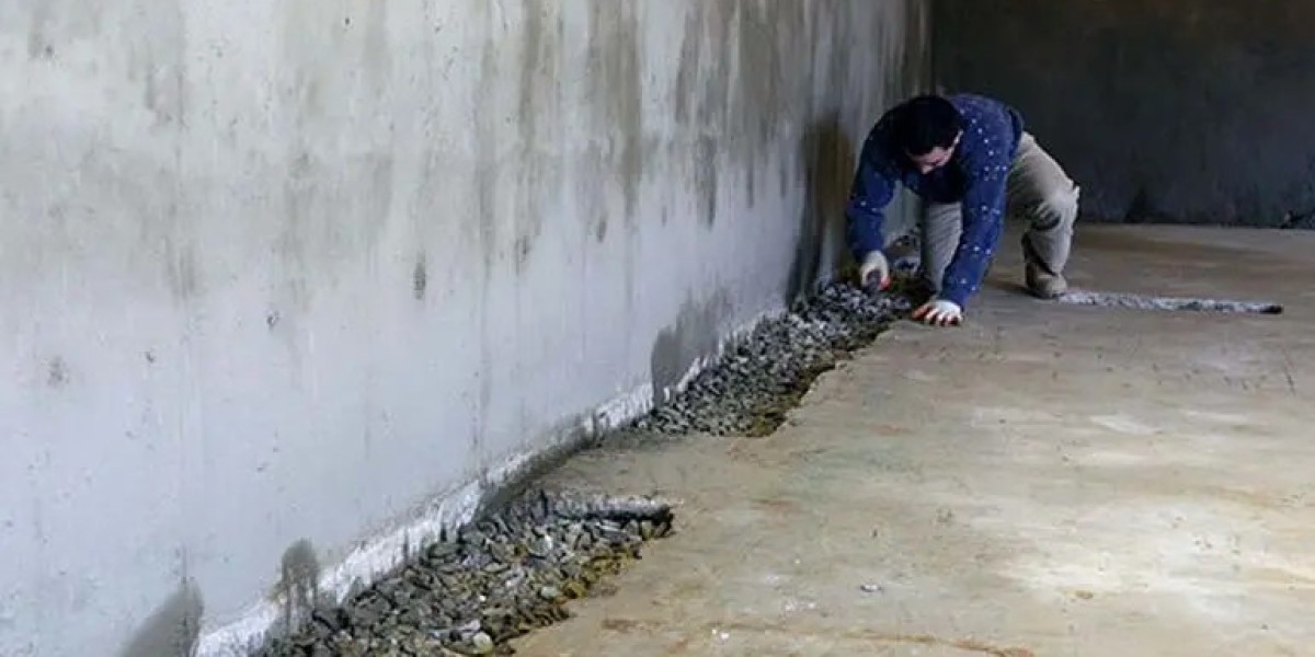 Basement Waterproofing 101: Everything Homeowners Need to Know