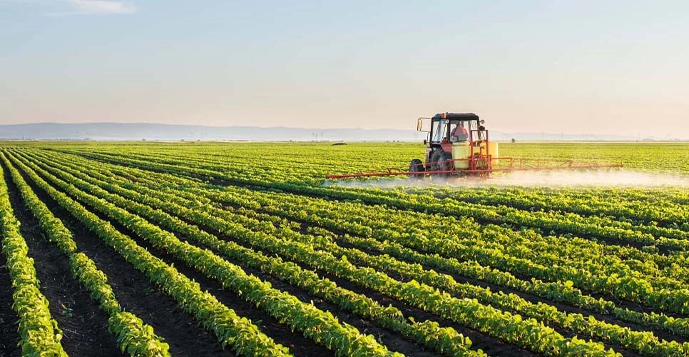 Best Agriculture Labour Supply Agency in UAE