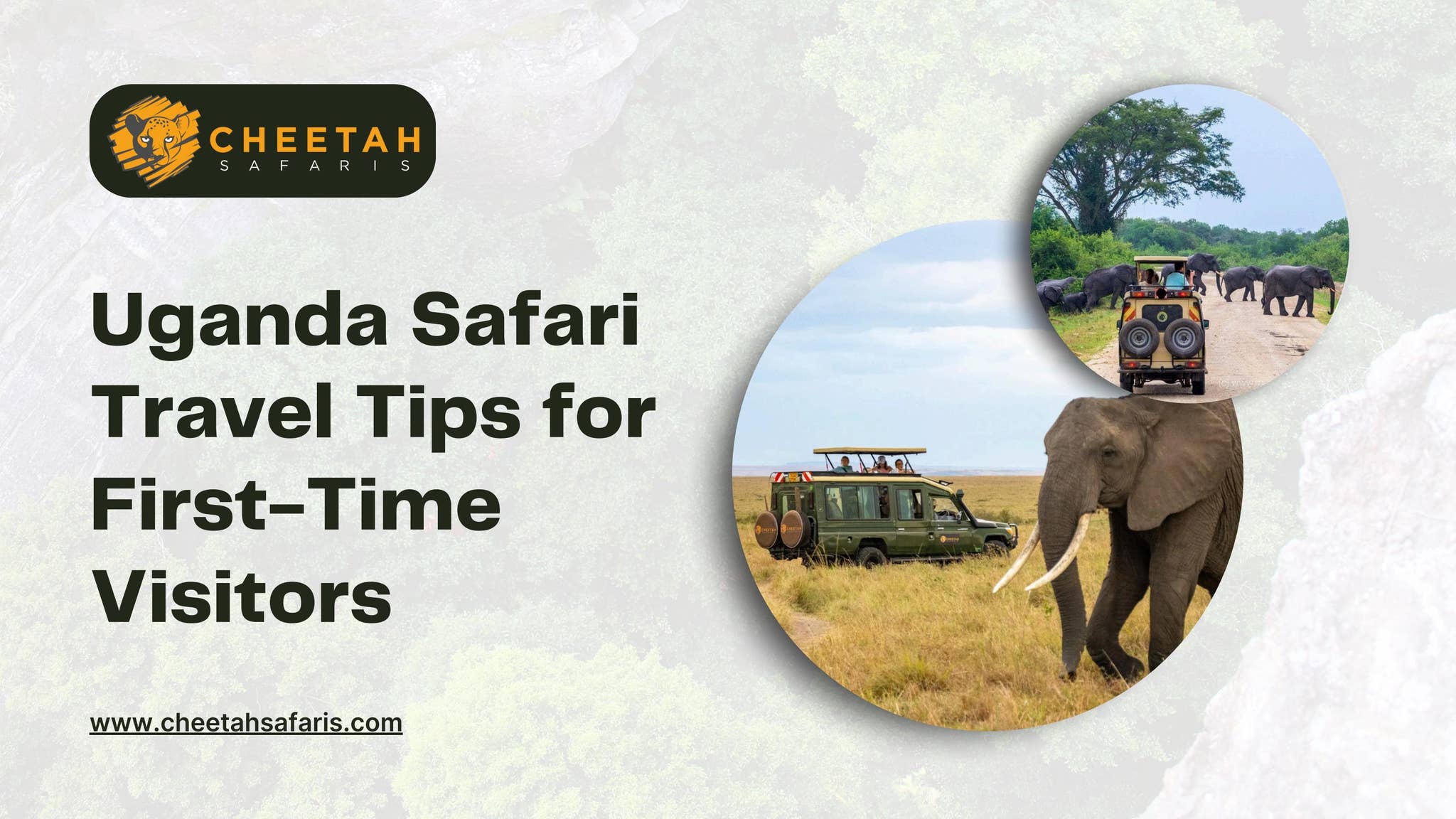 Uganda Safari Travel Tips for First-Time Visitors by Cheetah Safaris